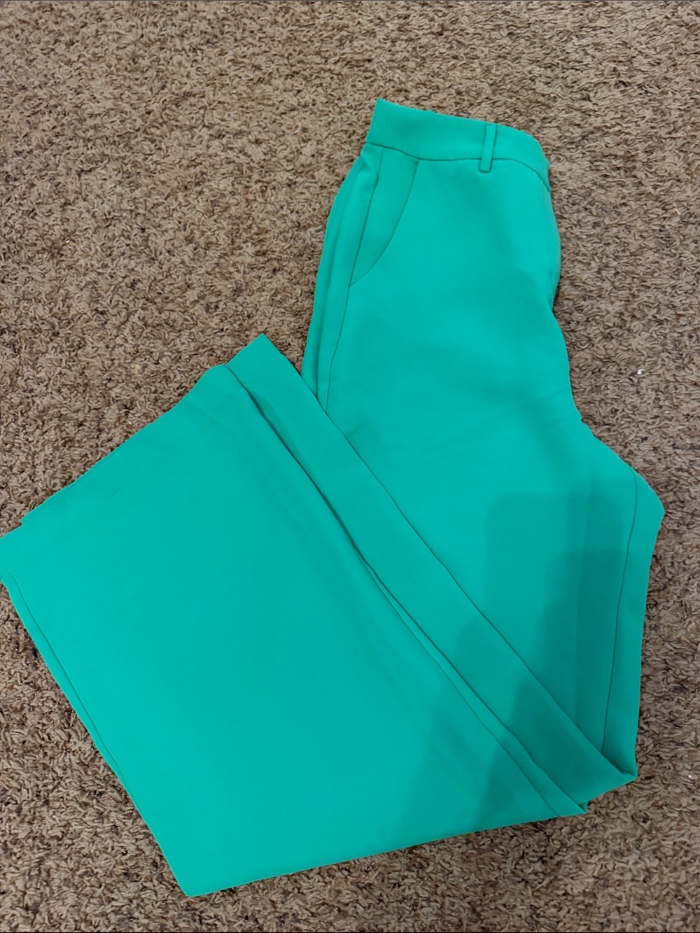 Showpo Green Wide-Leg Trousers